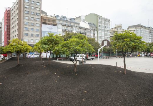 O Concello sanea e mellora as zonas verdes da praza de Pontevedra